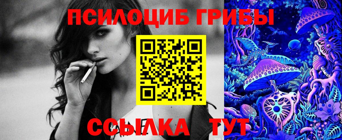 Новошахтинск  сколько стоит  Вход с VPN  Псилоцибиновые грибы MAGIC MUSHROOMS 